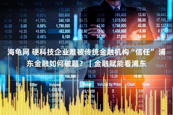 海龟网 硬科技企业难被传统金融机构“信任” 浦东金融如何破题？｜金融赋能看浦东