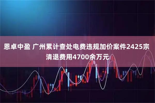 恩卓中盈 广州累计查处电费违规加价案件2425宗 清退费用4700余万元